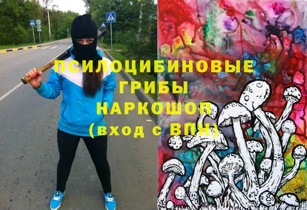 PSILOCYBIN Арсеньев