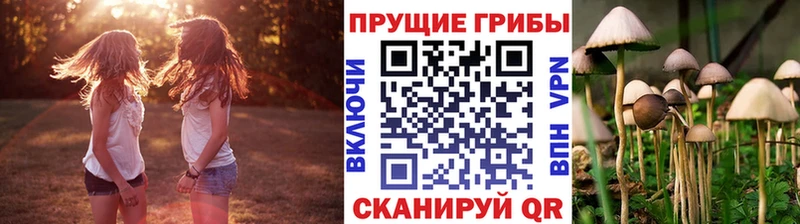 hydra ссылки  Орлов  Псилоцибиновые грибы Psilocybine cubensis 